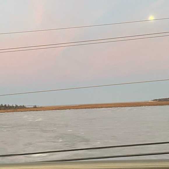 Meet your Posher, Amy - Picture 1 of 1